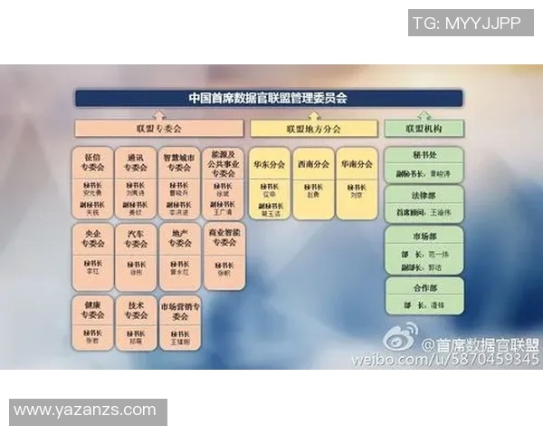 以联盟为核心推动跨领域合作与创新发展探讨